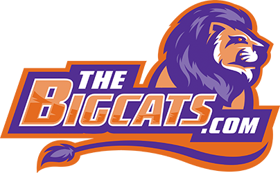The Big Cats